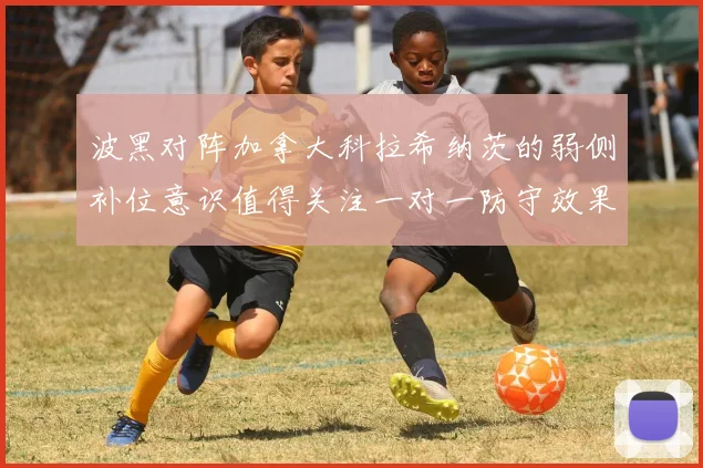 波黑对阵加拿大科拉希纳茨的弱侧补位意识值得关注一对一防守效果
