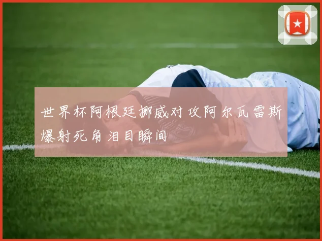 世界杯阿根廷挪威对攻阿尔瓦雷斯爆射死角泪目瞬间