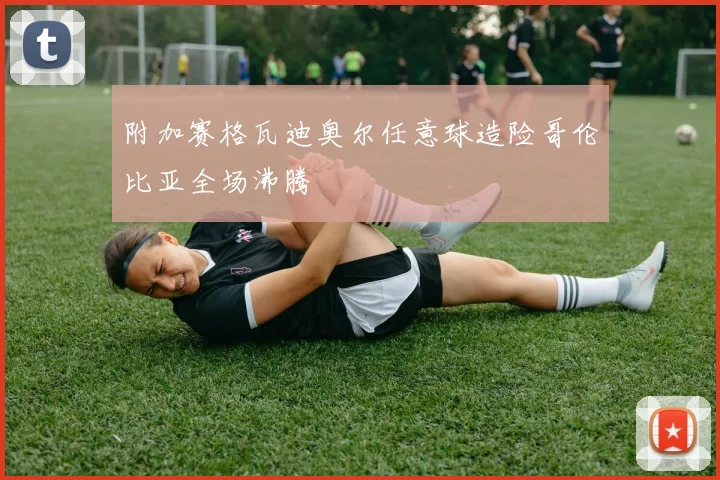 附加赛格瓦迪奥尔任意球造险哥伦比亚全场沸腾