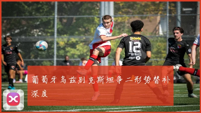 葡萄牙乌兹别克斯坦争二形势替补深度