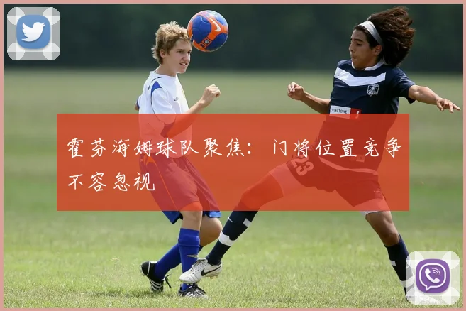 霍芬海姆球队聚焦：门将位置竞争不容忽视